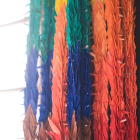 フォトリトリート