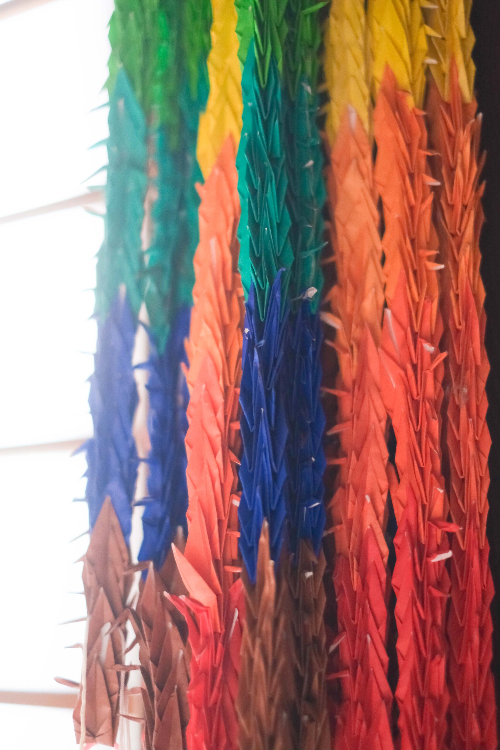 フォトリトリート